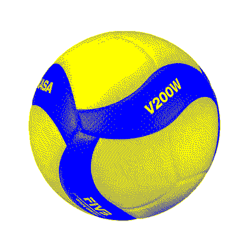 Indoor Volleyball