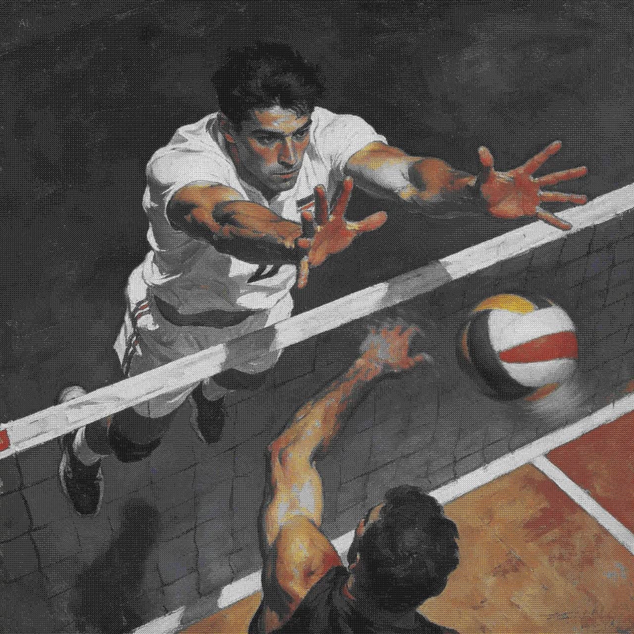 Volleyball player blocking at the net